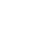 Professional Support